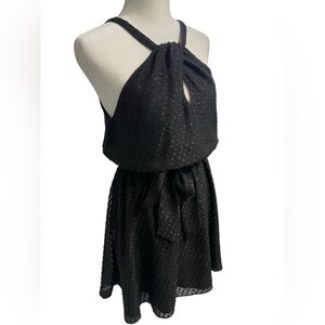 Express Black Halter Dress